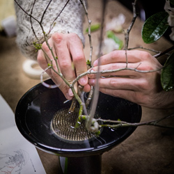 Ikebana — a fleeting art based on objects that inevitably wither away