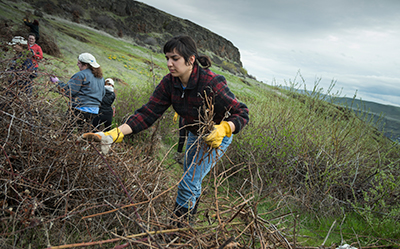 Images of WU students volunteering