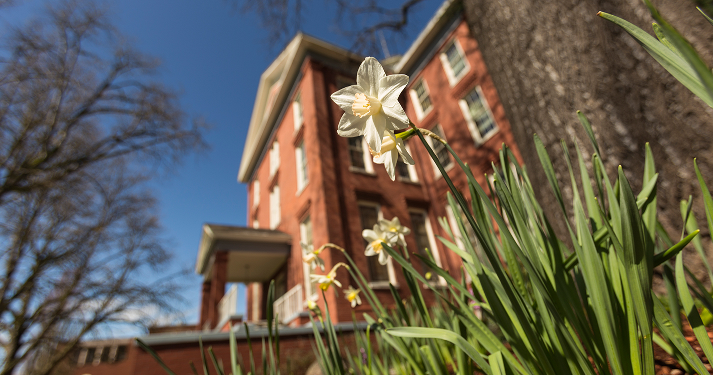 Campus in spring