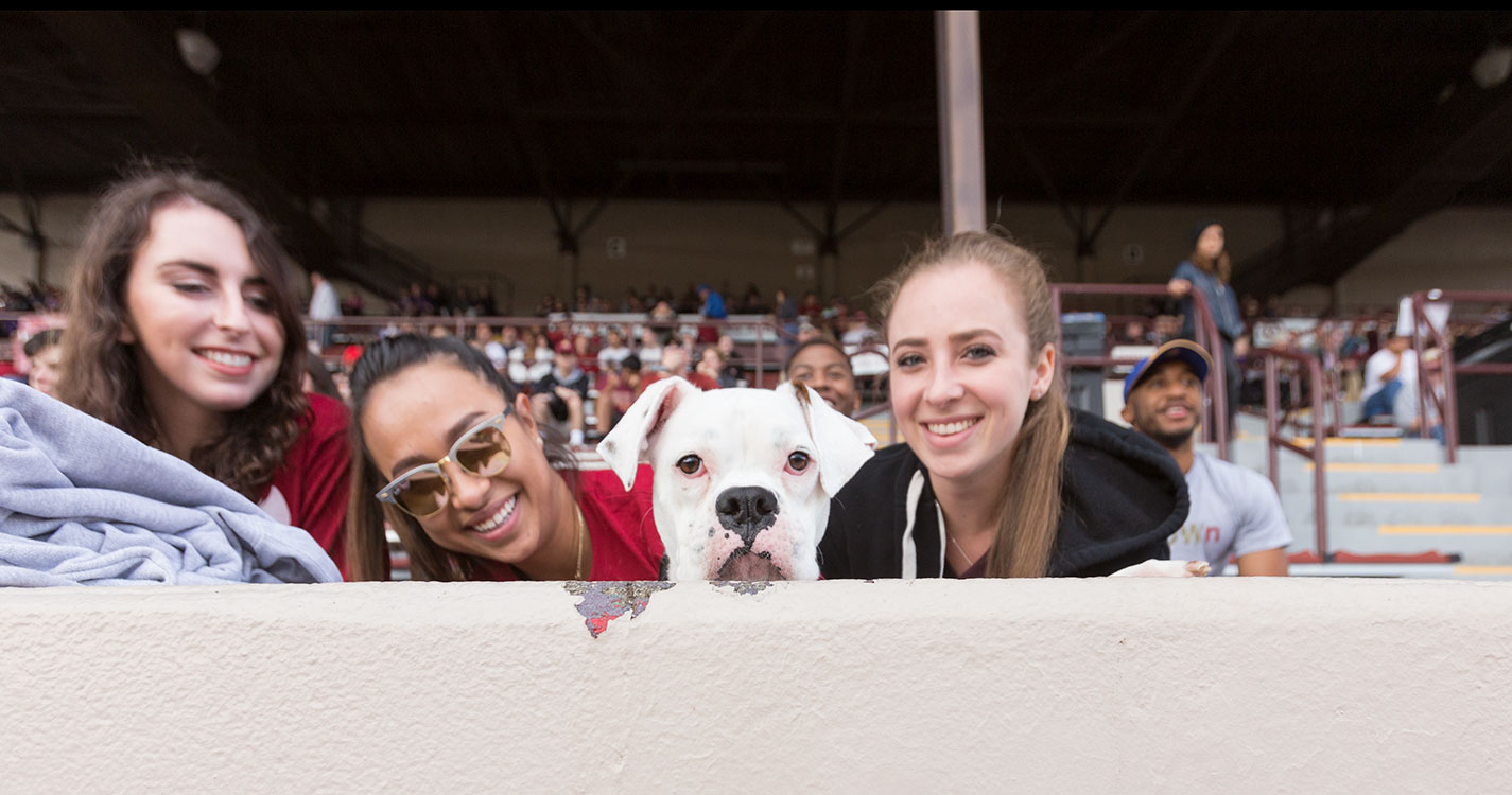 Students cheer on the Willamette football teams.