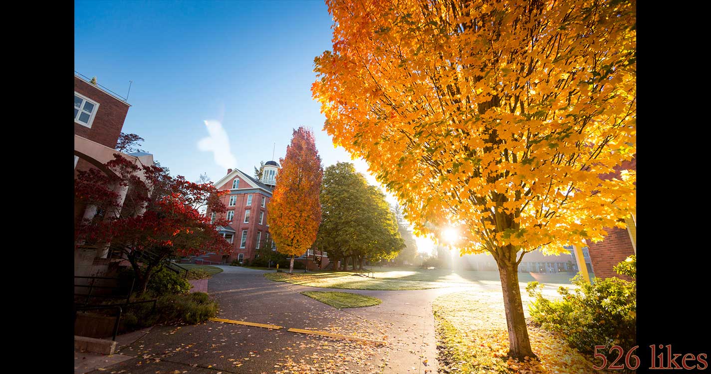 Fall foliage and Waller Hall