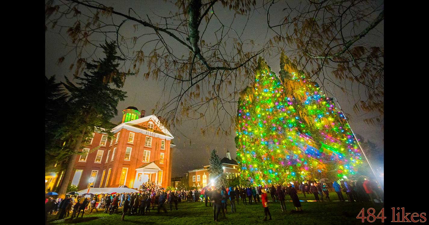 Waller Hall and Star Trees covered in holiday lights