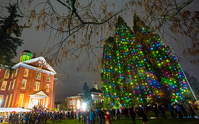 Star Trees in holiday lights and Waller Hall