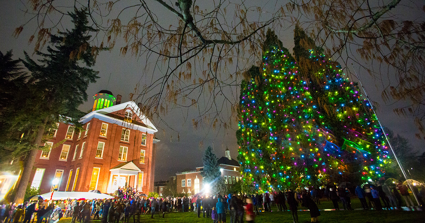 Star Trees aglow with holiday lights