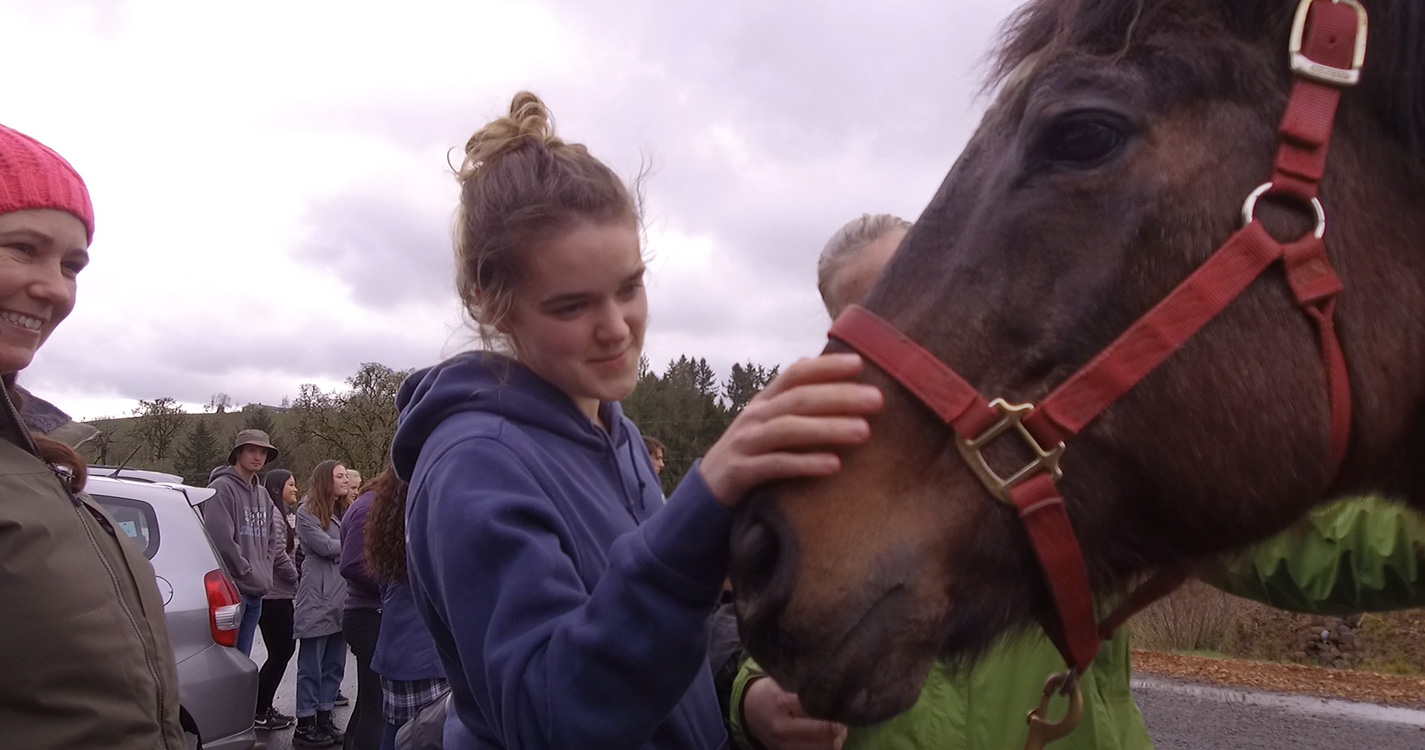 WU students volunteers for Into the Streets with horses.