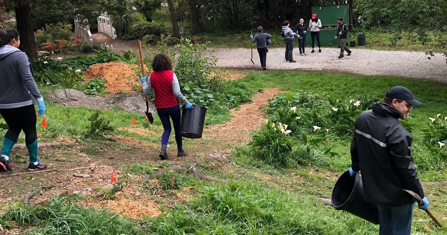 Alumni in San Francisco volunteer at Strawberry Hill on Willamette’s Global Day of Service.