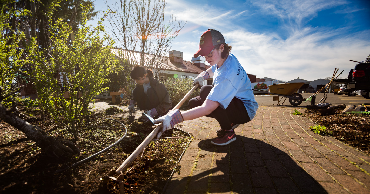 Student tills the soil with a rake as part of Willamette’s Global Day of Service.