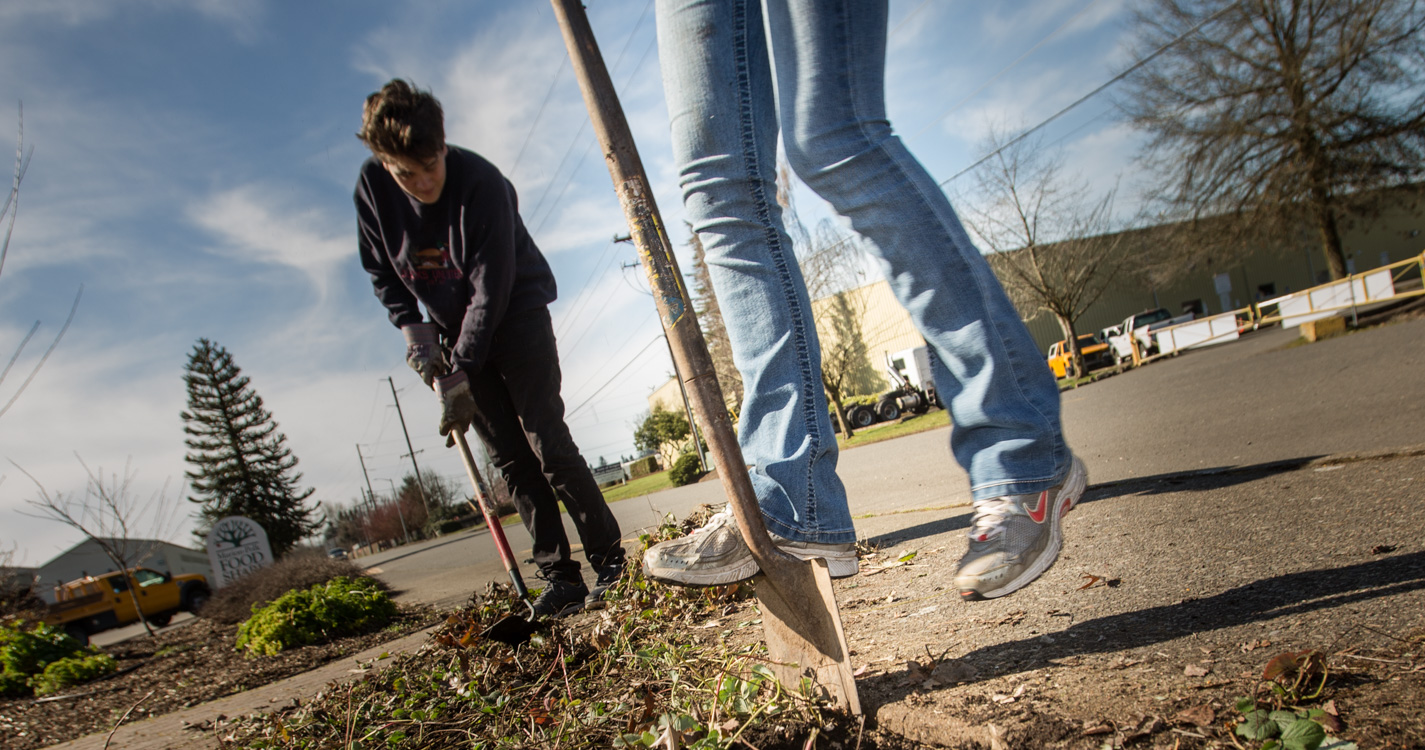 Student dig in the ground as part of Willamette’s Global Day of Service.