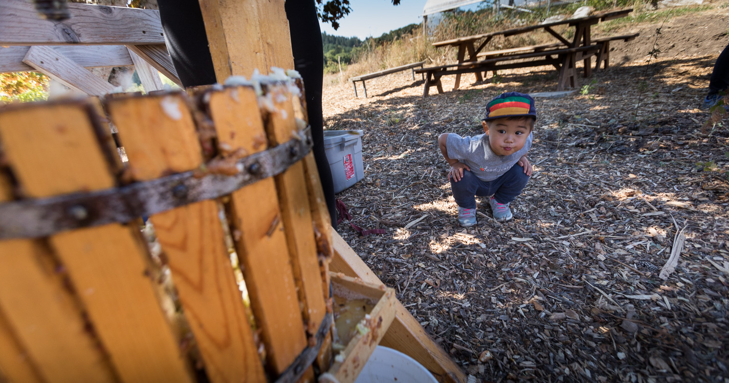 A child plays at ZenaFest