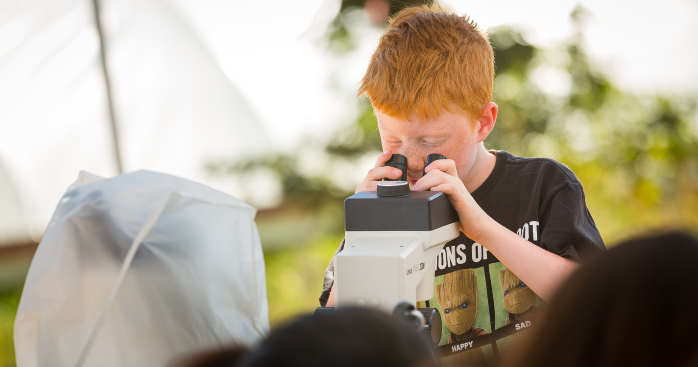 a child looks through a microscope