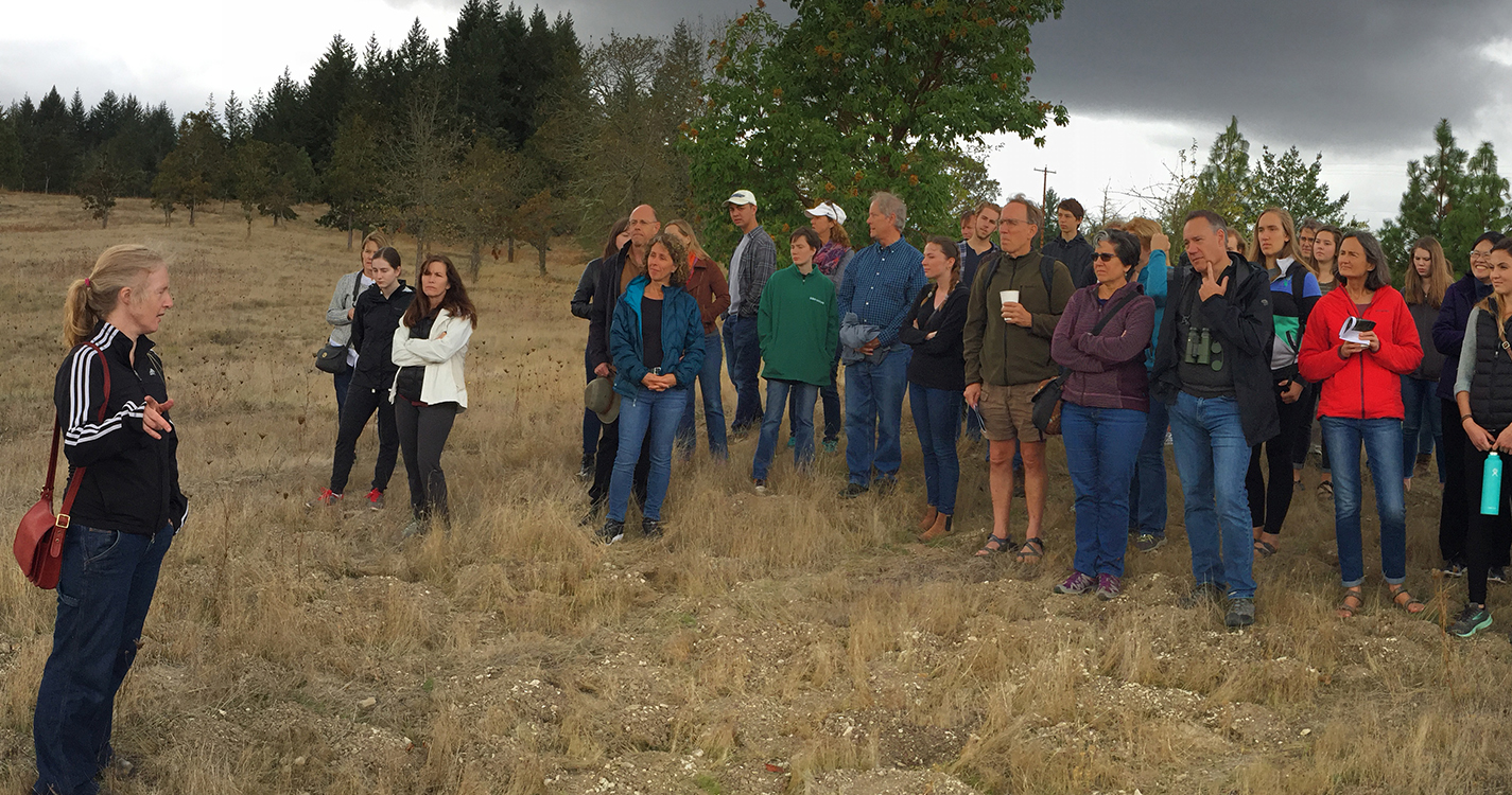 A tour guide speaks to a crowd of people in the middle of a yellow field