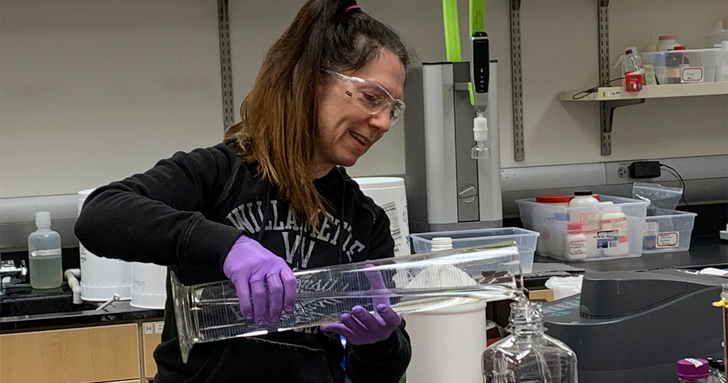 Professor Holman pours solution from a beaker