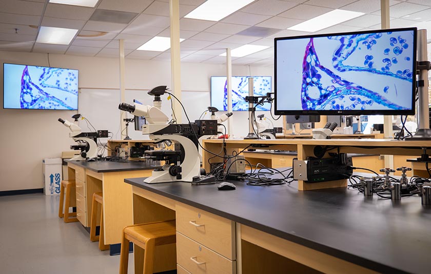 New microscope classroom