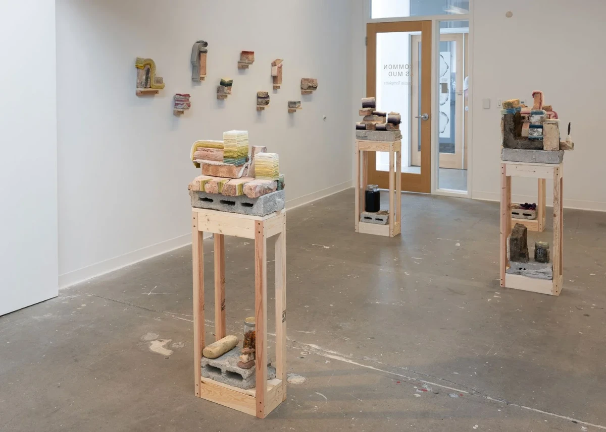 Tompkins' thesis exhibition