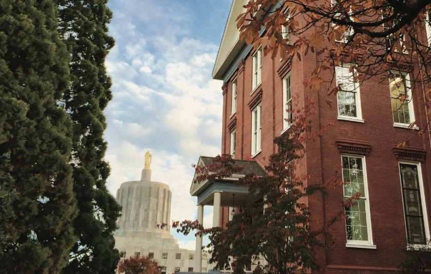 Capitol building behind Waller Hall