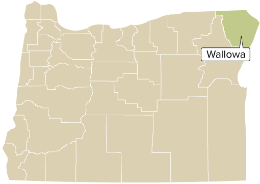 A map of Oregon, highlighting Wallowa County