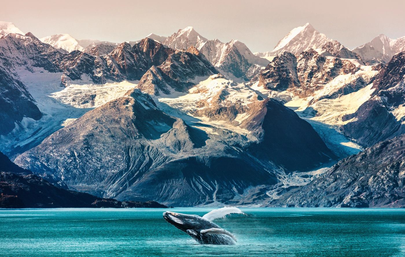 Landscape in Alaska with a whale