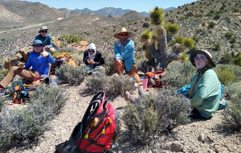 Student-faculty research in the Mojave desert