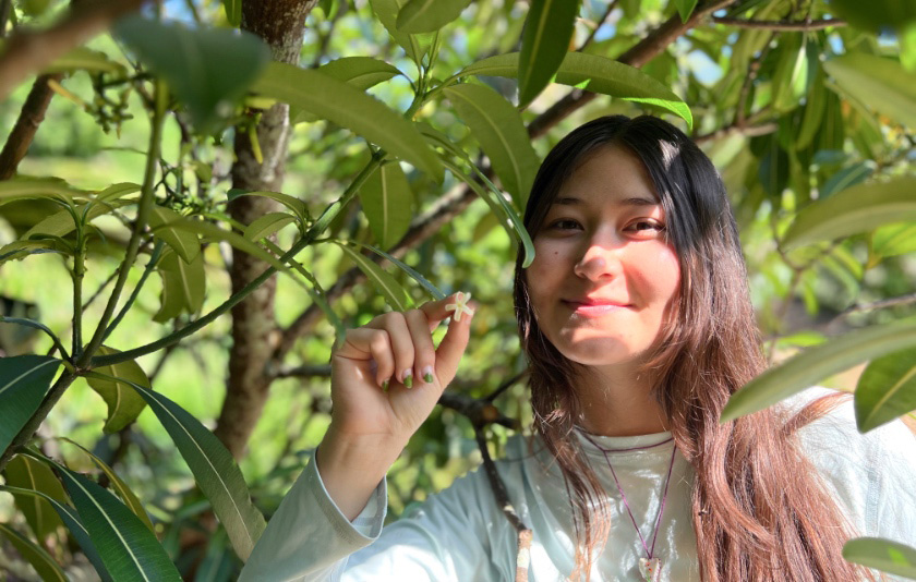 Miike standing with a hōlei tree