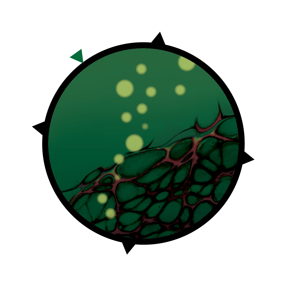 Roots and sunspots dot a green background.